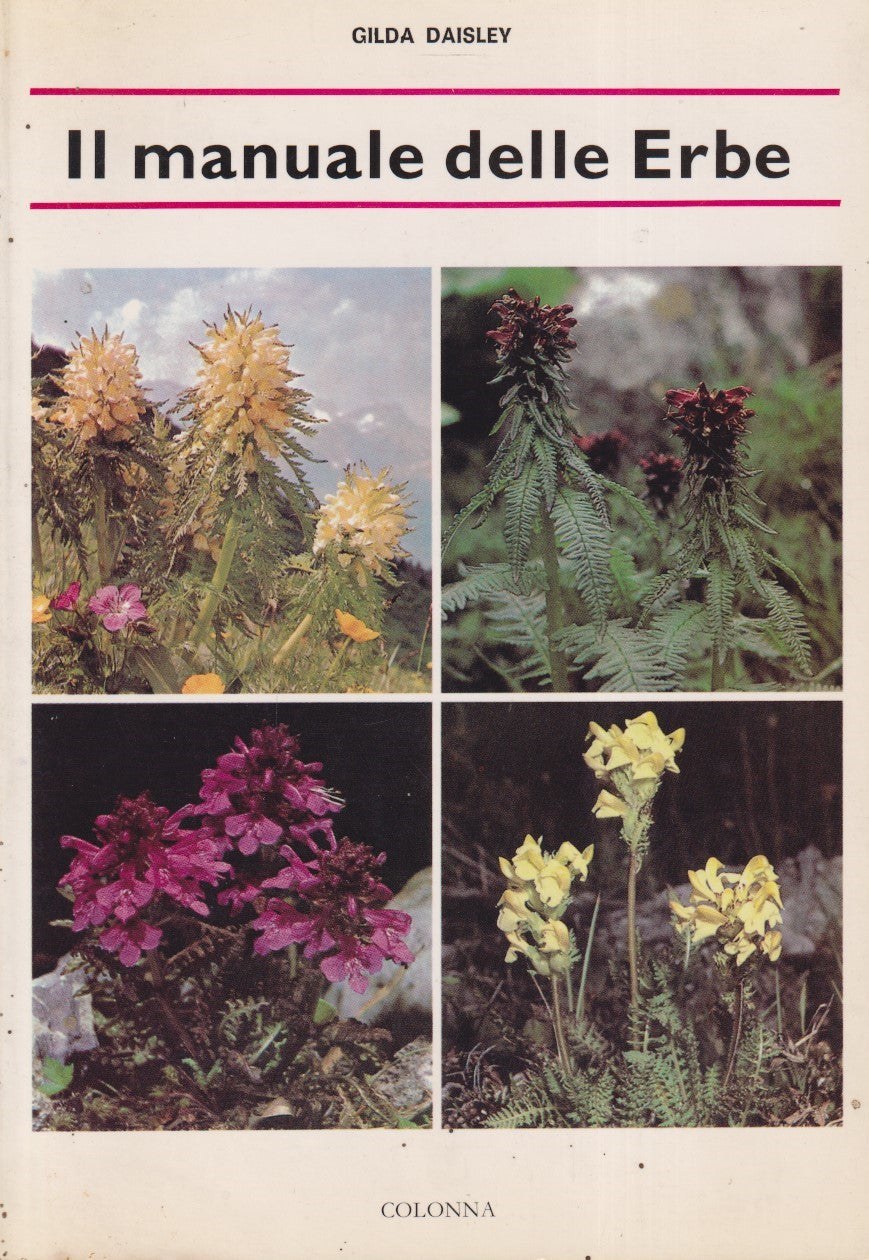 Il manuale delle erbe - Gilda Daisley - Colonna - ZFS82