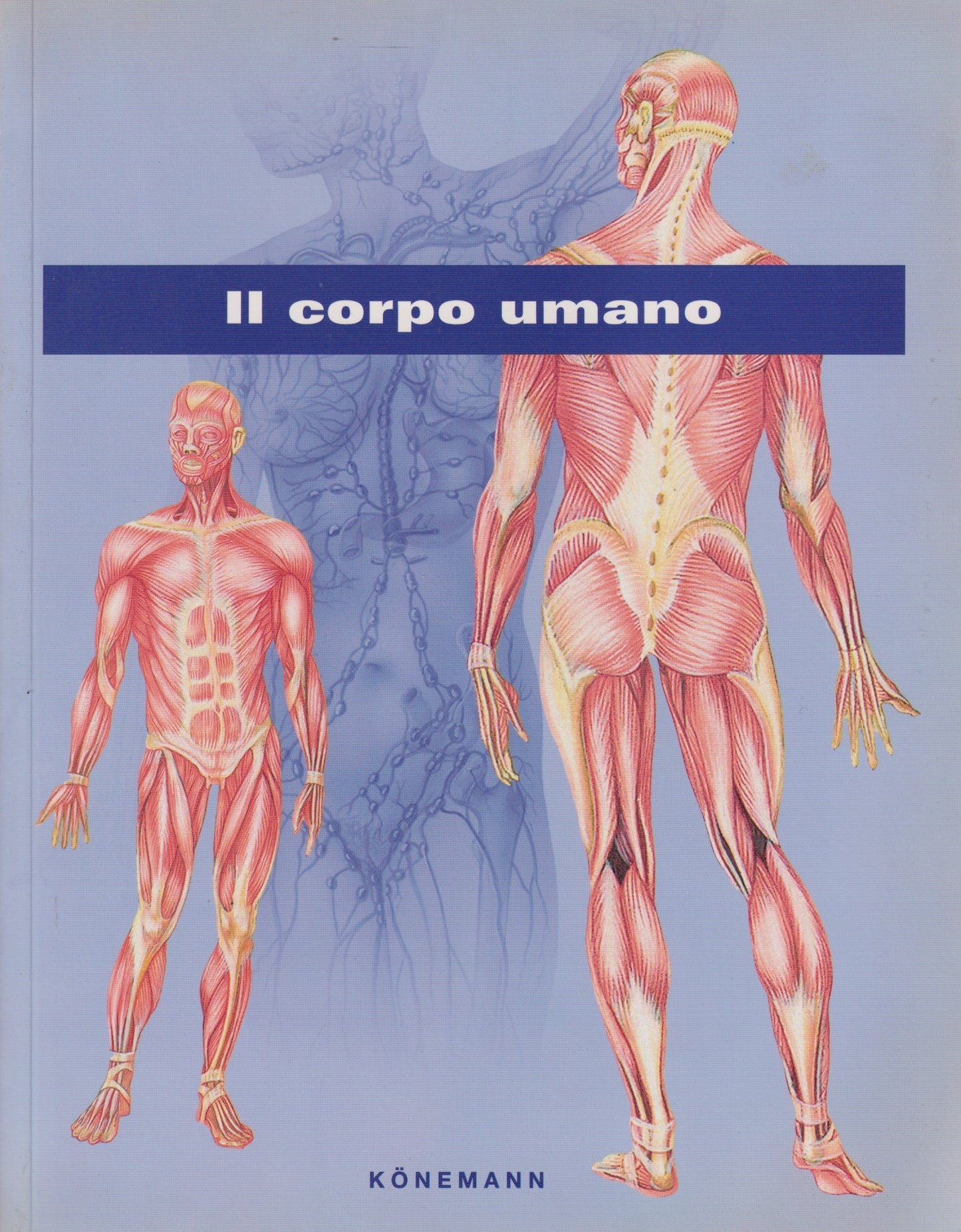 Il corpo umano - Konemann - 2000 - ZFS132