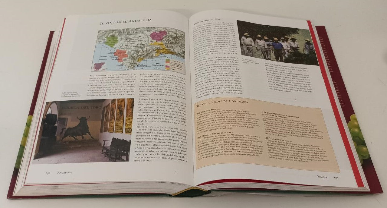 LK- VINO - ANDRE' DOMINE' - GRIBAUDO KONEMAN --- 2004 - CS- YFS760