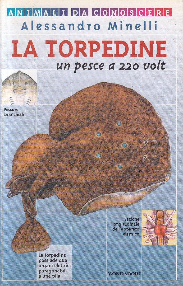 LN2- LA TORPEDINE PESCE A 220 VOLT - MINELLI - MONDADORI ANIMALI - B - JXS165