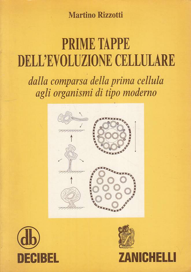 LZ- PRIME TAPPE EVOLUZIONE CELLULARE- RIZZOTTI - ZANICHELLI--- 1998 - B - YFS564