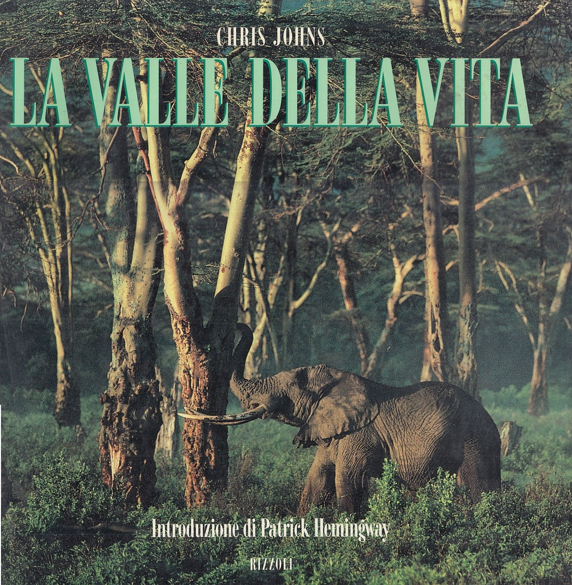 LZ- LA VALLE DELLA VITA - CHRIS JOHNS HEMINGWAY - RIZZOLI --- 1992 - CS - ZFS319