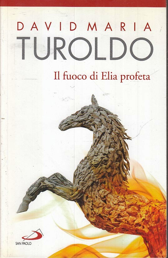 LD- IL FUOCO DI ELIA PROFETA - DAVID MARIA TUROLDO- SAN PAOLO--- 2016- B- ZFS171