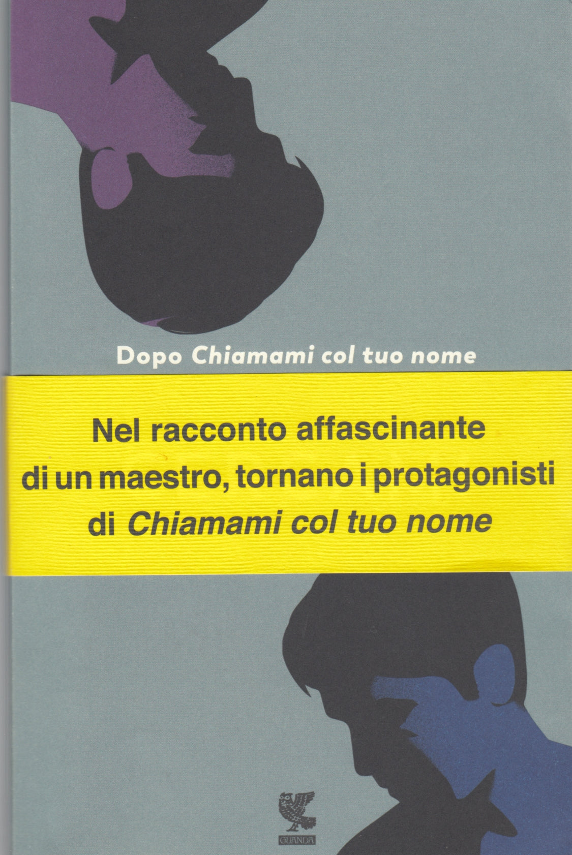 Cercami - Andre' Aciman - Guanda Narratori della Fenice - 1a ed. - fascetta- XFS
