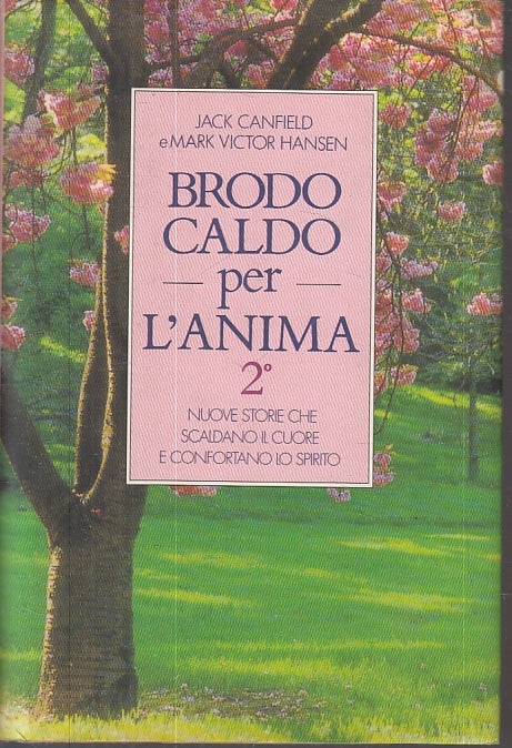 LN2- BRODO CALDO PER L'ANIMA VOLUME 2 -- LO SCRIGNO --- 1996 - CS - JXS28