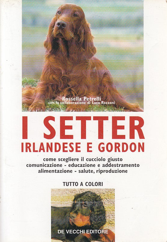LZ- IL SETTER IRLANDESE E GORDON - PETRELLI - DE VECCHI --- 1999 - B - ZDS65