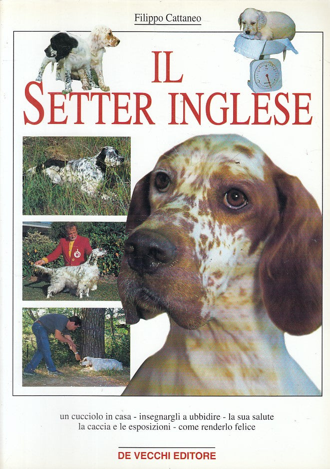 LZ- IL SETTER INGLESE - FILIPPO CATTANEO - DE VECCHI --- 2001 - B - YFS600