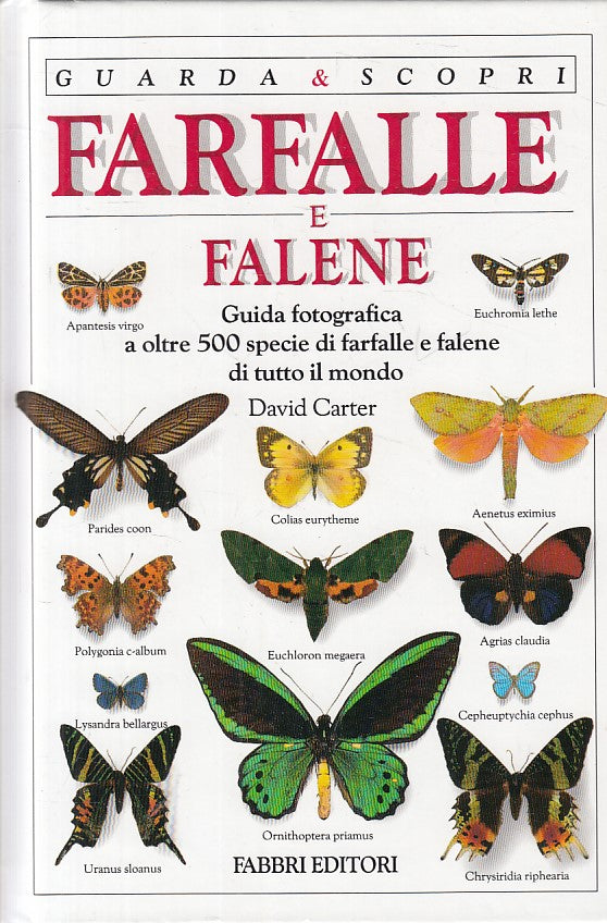 LZ- FARFALLE E FALENE GUIDA FOTOGRAFICA - CARTER - FABBRI --- 1993 - C - ZFS110