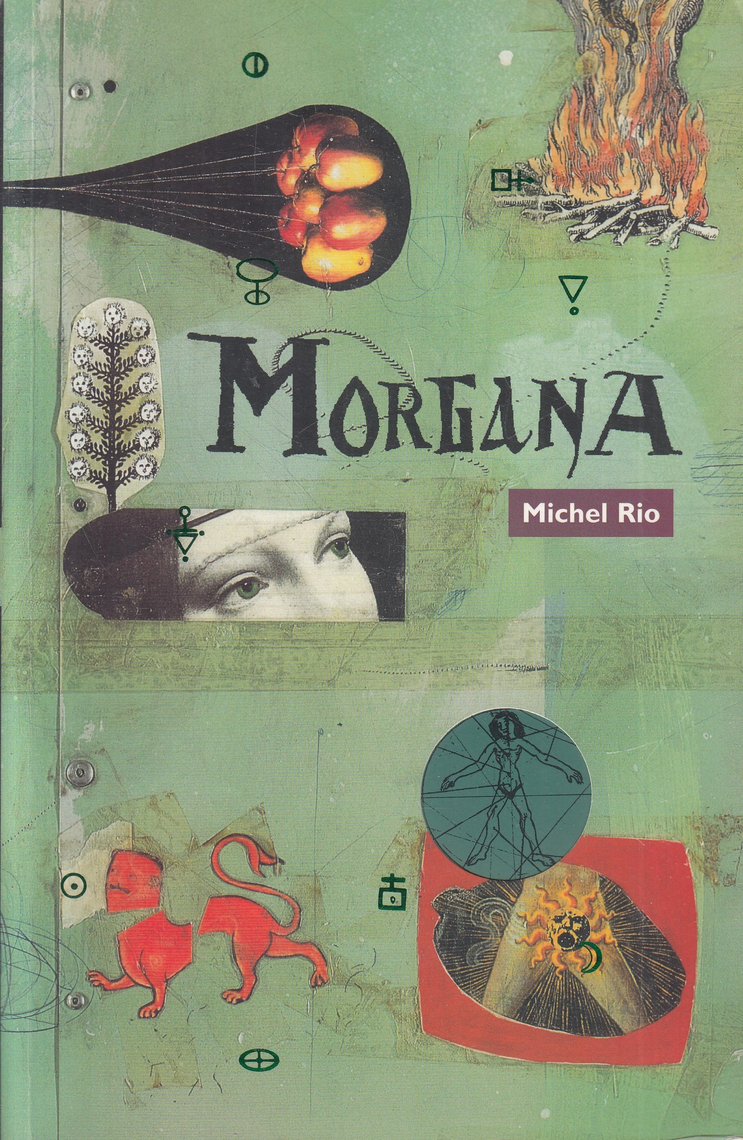 LN2- MORGANA - MICHEL RIO - INSTAR LIBRI NARRATIVA/MENTE - B - JXS212