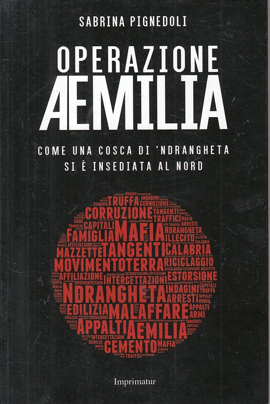 LS- OPERAZIONE AEMILIA 'NDRAGHETA - PIGNEDOLI - IMPRIMATUR --- 2015 - B - ZFS202