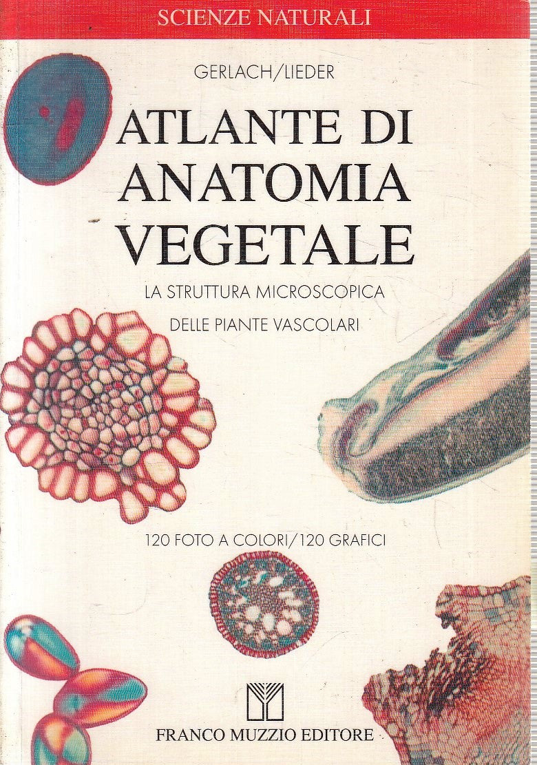 LQ- ATLANTE DI ANATOMIA GENERALE- GARLACH LIEDER- FRANCO MUZZIO- 2002- B- YFS477