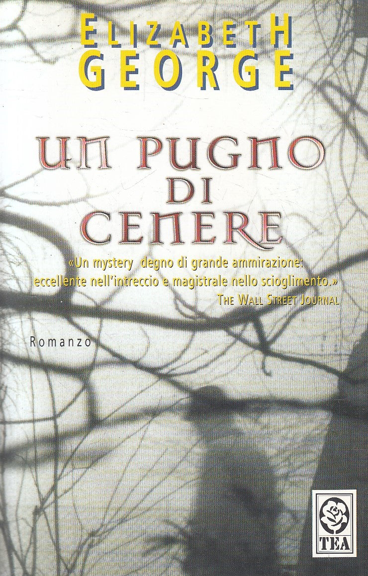 UN PUGNO DI CENERE - ELIZABETH GEORGE - TEA TEADUE - B - JXS310