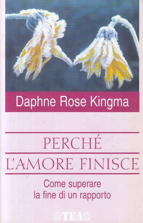 LS- PERCHE' L'AMORE FINISCE COME SUPERARE - KINGMA - TEA --- 2001 - B - ZFS181