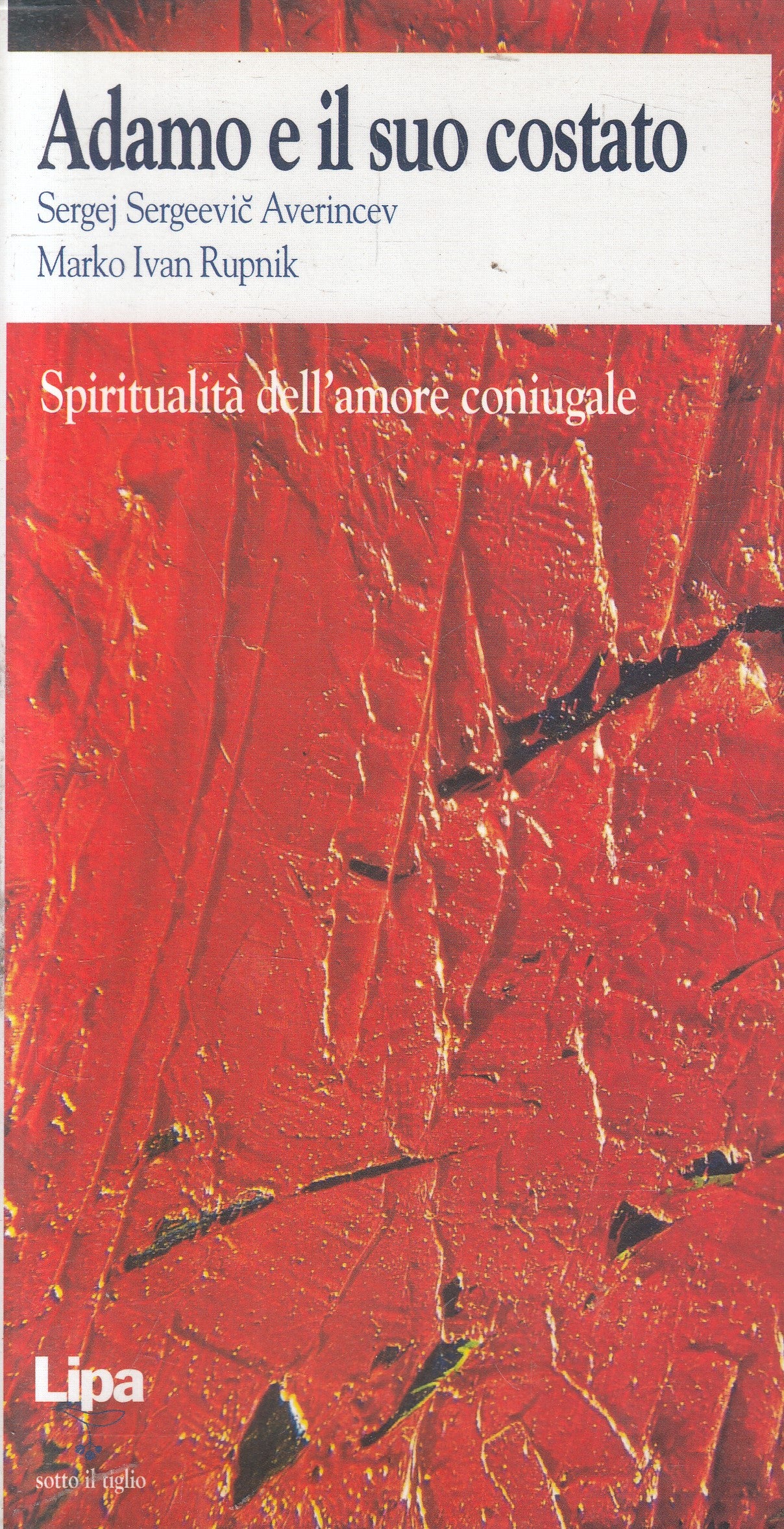 LS- ADAMO E IL SUO COSTATO - AVERINCEV RUPNIK - LIPA --- 2006 - BS - ZFS27