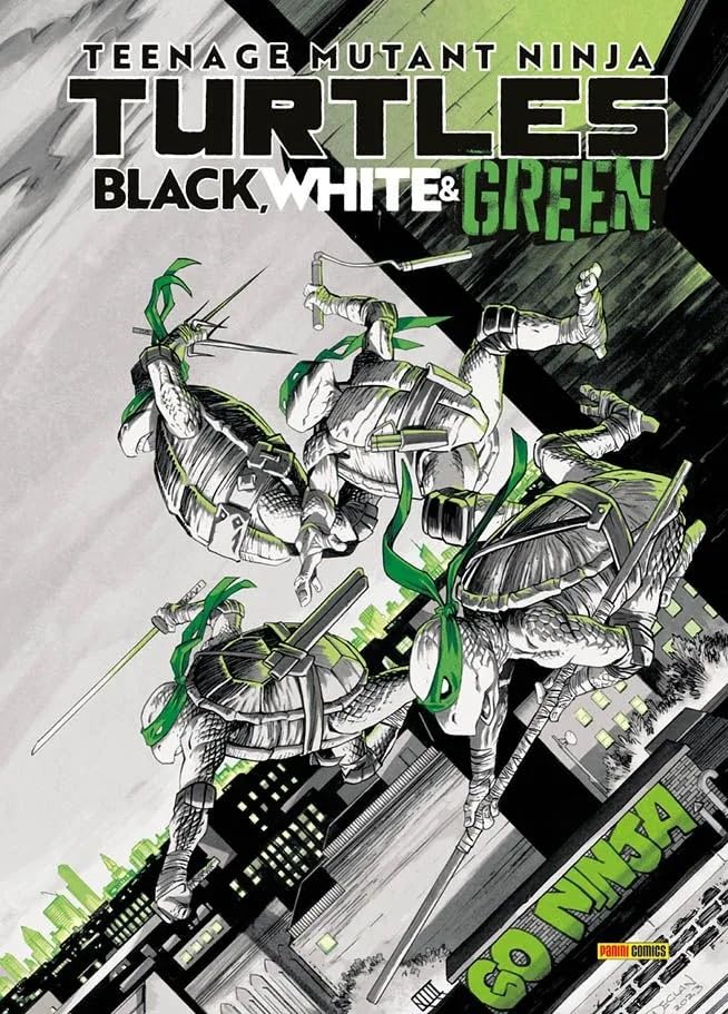 FV- TEENAGE MUTANT NINJA TURTLES BLACK WHITE & GREEN - PANINI - 2025 - K25