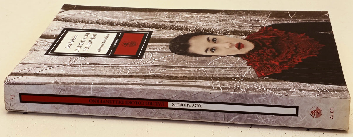 L'altro colore dell'inverno - Judy Budnitz - Alet Romanzo - 1a ed. - ZFS286