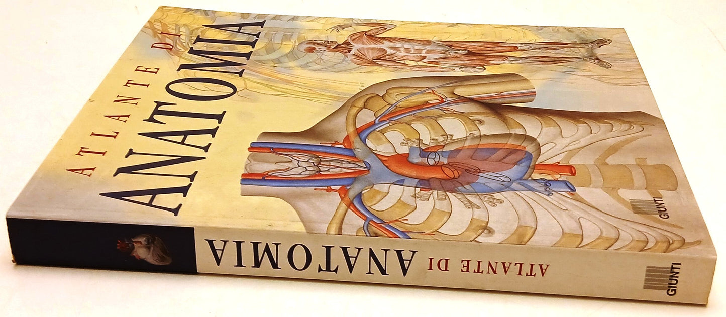 Atlante di Anatomia - Giunti - 1a ed. - a colori - YFS137