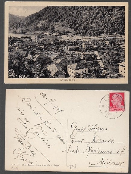 CC- CARTOLINA PAESAGGISTICA LAGO MAGGIORE PALLANZA LUNGO LAGO - CRT1918