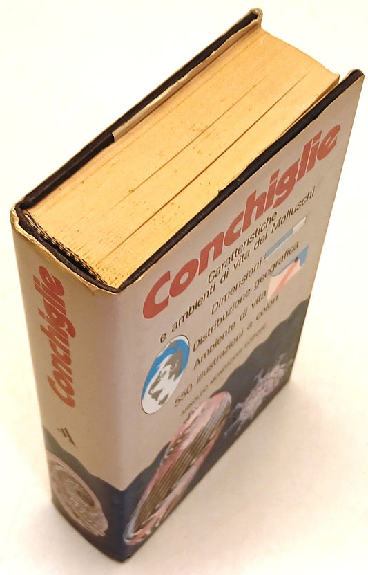Conchiglie Caratteristiche ambienti vita Molluschi - Mondadori - 1a ed.- ZFS262