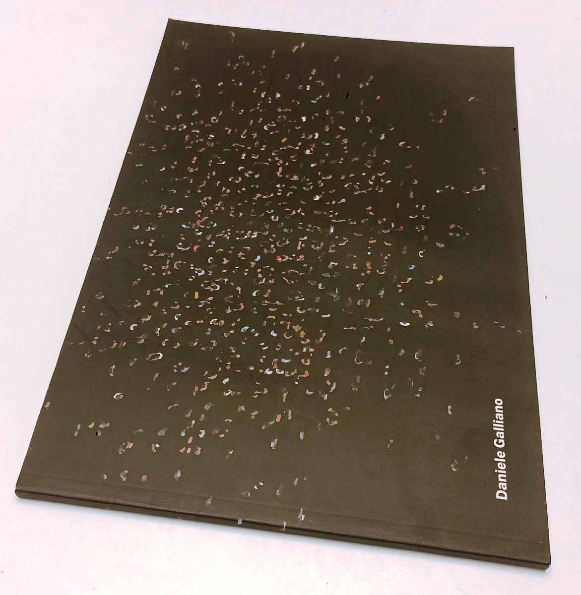 LT- DANIELE GALLIANO I'M GOING UP I'M GOING DOWN-- ARCO BOOKS--- 2010- B- XFS193