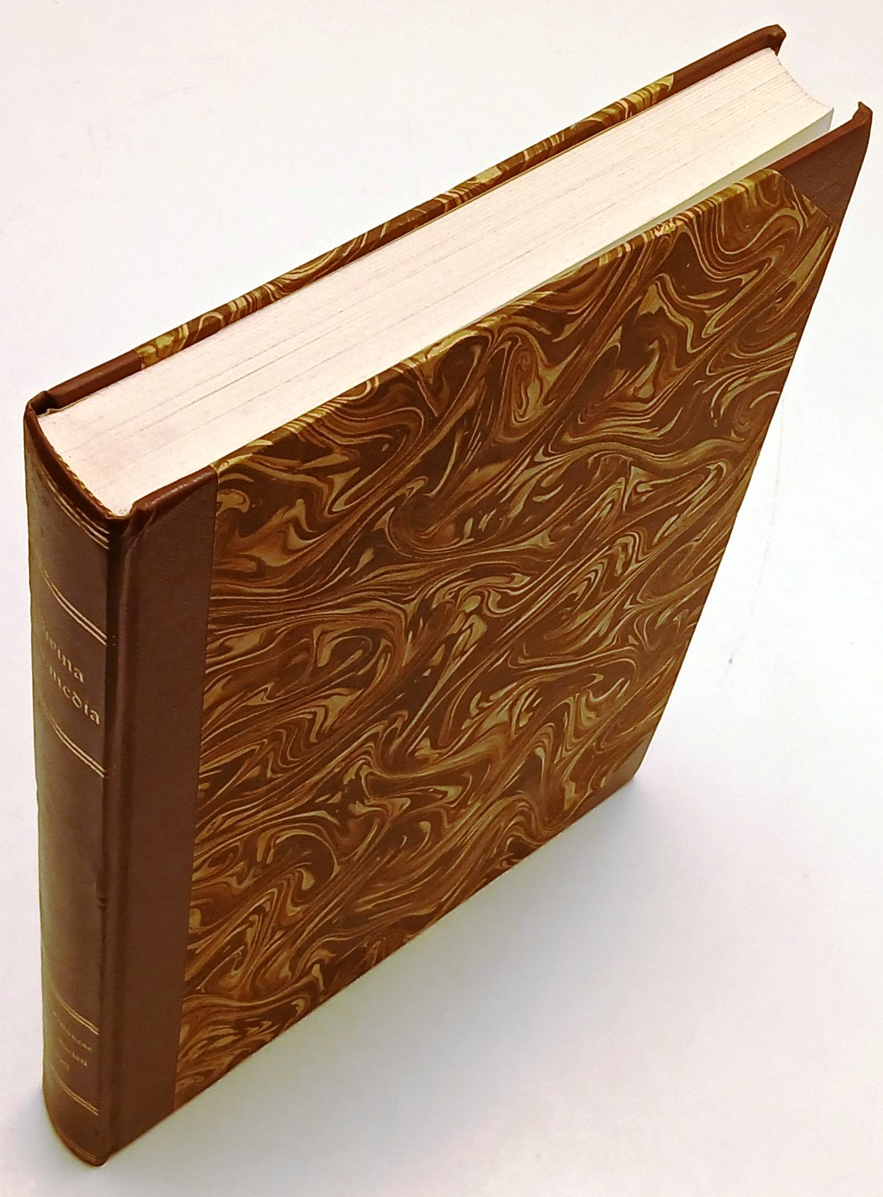 Divina Commedia Manoscritto n.35 Biblioteca Lolliniana - Dante Alighieri - YFS77