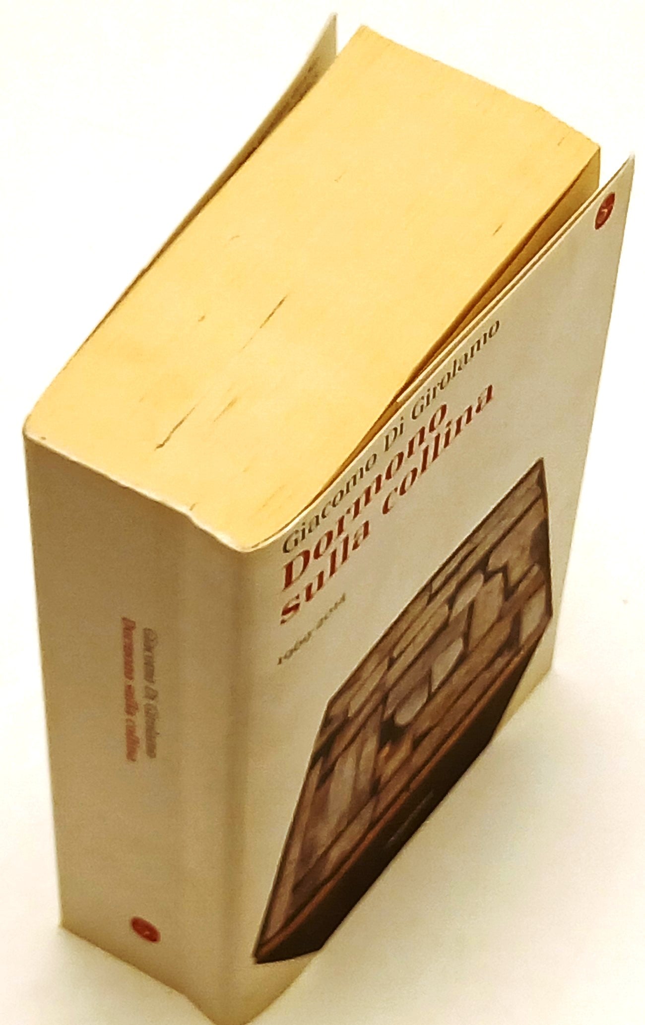 Dormono sulla collina - Giacomo di Girolamo - Il Saggiatore - 1a ed. - ZFS180