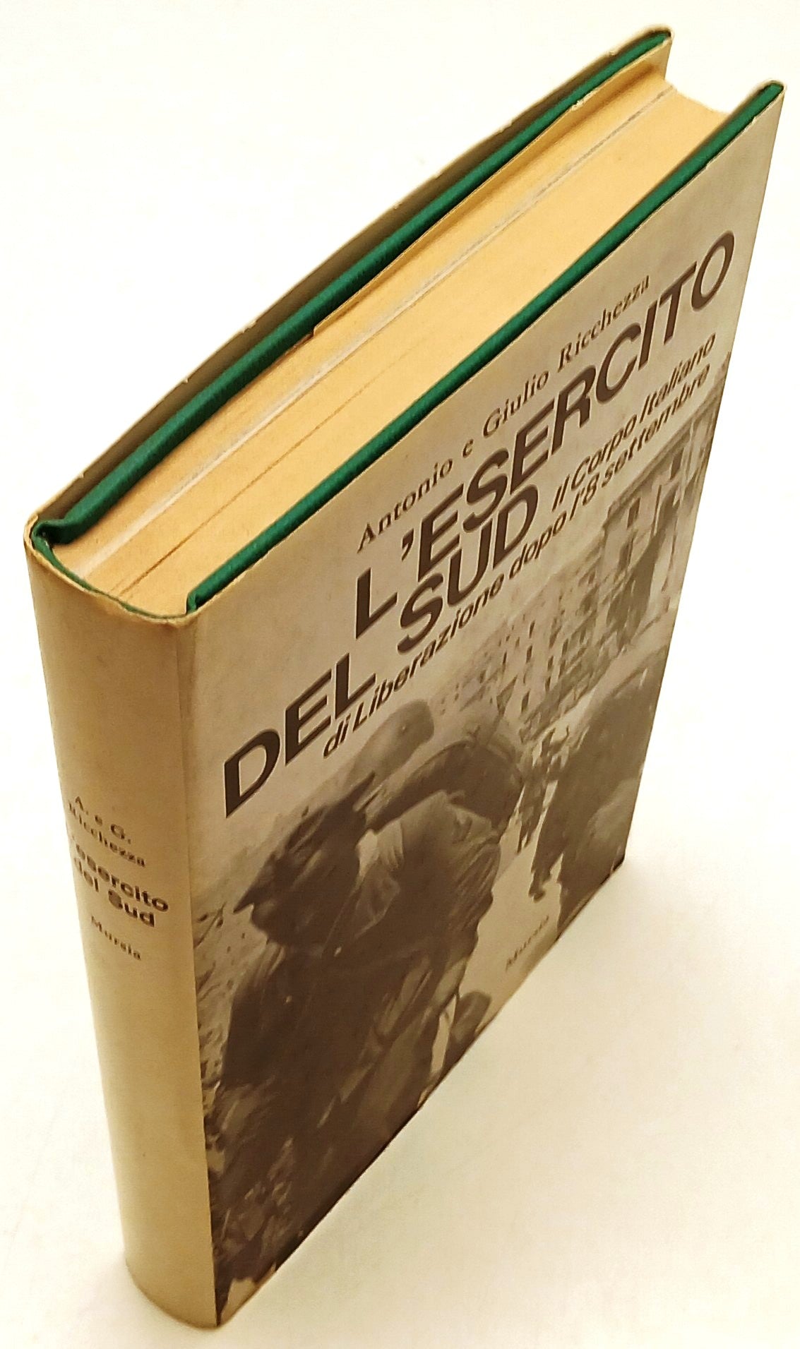 L'esercito del sud - Antonio Giulio Ricchezza - Mursia - 1a ed. - ZFS140
