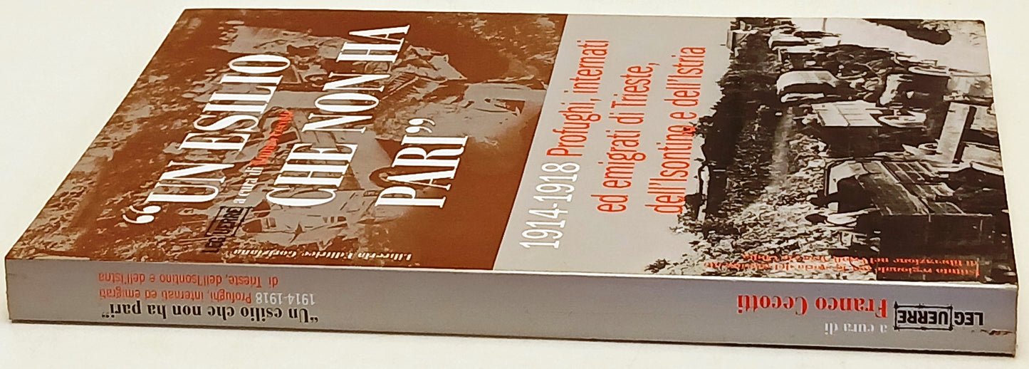 Un esilio che non ha pari - Franco Cecotti - Gorizana Le Guerre - 1a ed.- ZFS221