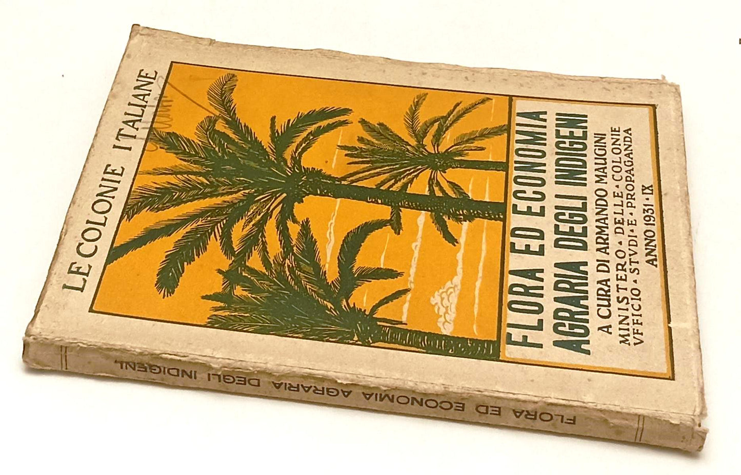 LZ- LE COLONIE ITALIANE FLORA ECONOMICA AGRARIA INDIGENI - MAUGINI- 1931- YFS604