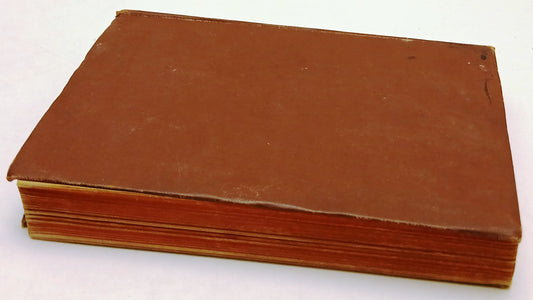 LZ- GALVANOPLASTICA - RINALDO FERRINI - HOEPLI - MANUALI -- 1892 - C - XFS