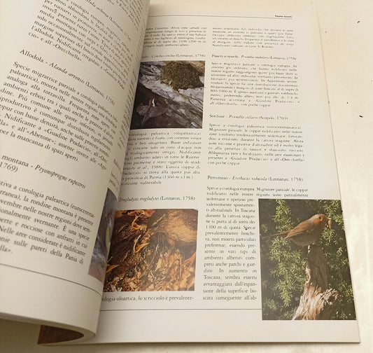 LV- HABITAT E VERTEBRATI FAGGETE APPENNINO SETTENTRIONALE - ARCARI- 2002- YFS363