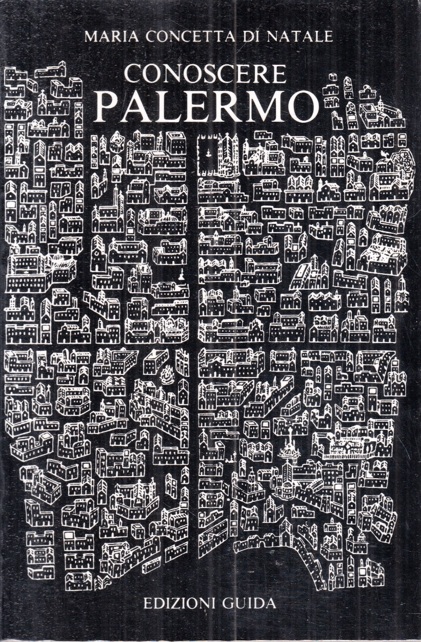 LV- CONOSCERE PALERMO - MARIA CONCETTA DI NATALE - GUIDA --- 1986 - B- ZFS155