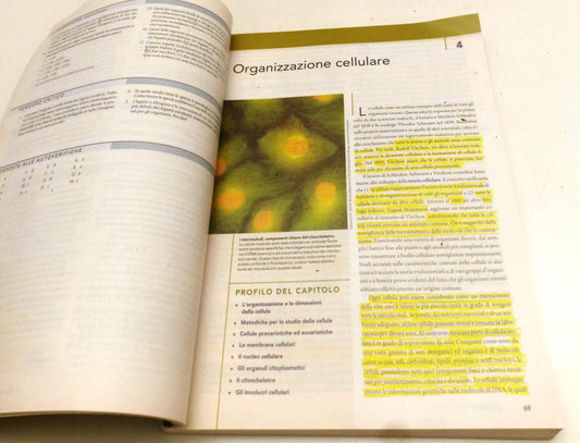 LZ- FONDAMENTI DI BIOLOGIA - SOLOMON BERG MARTIN - EDISES ---- B - YFS686