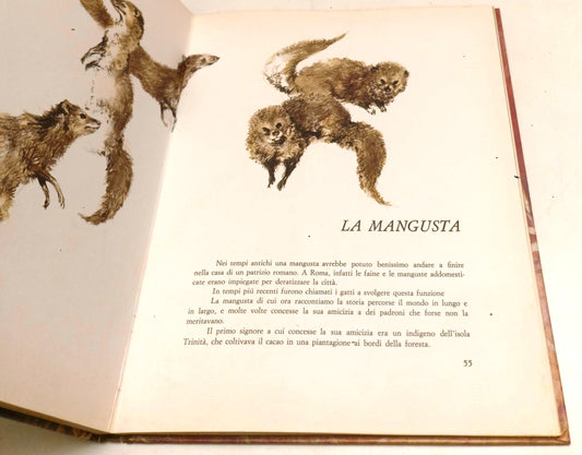 LB- CUORI SELVAGGI - RENE' GUILLOT - LA SORGENTE --- 1968 - CS- YFS550