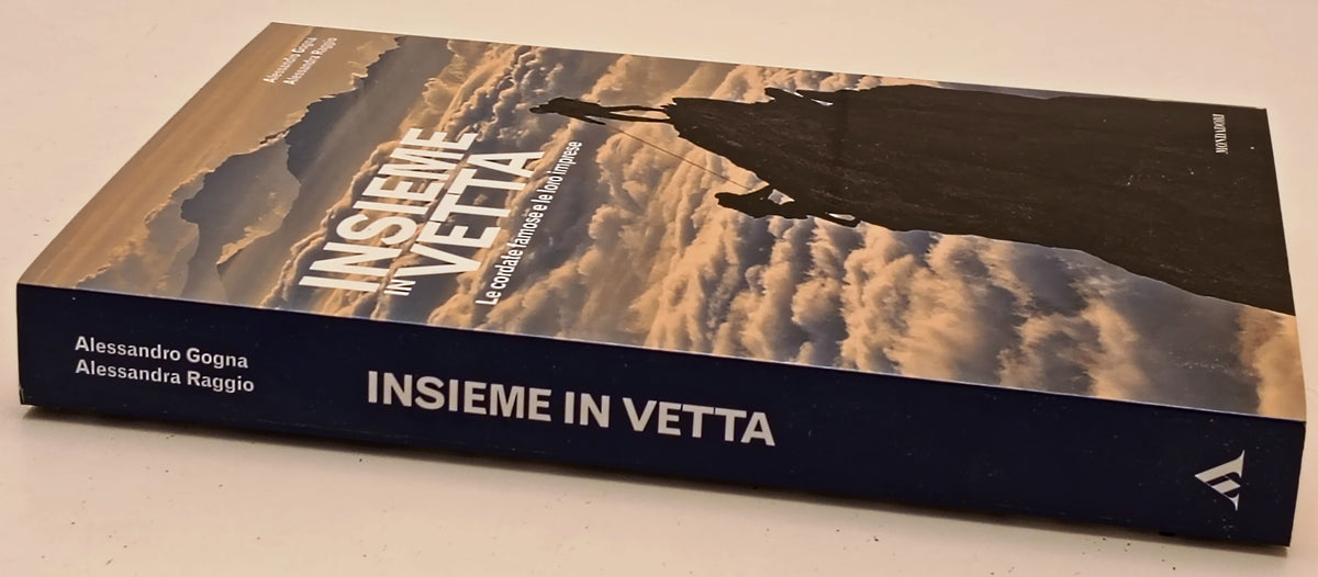 Insieme in vetta Cordate famose imprese- Gogna Raggio- Mondadori- 1a ed.- ZFS288