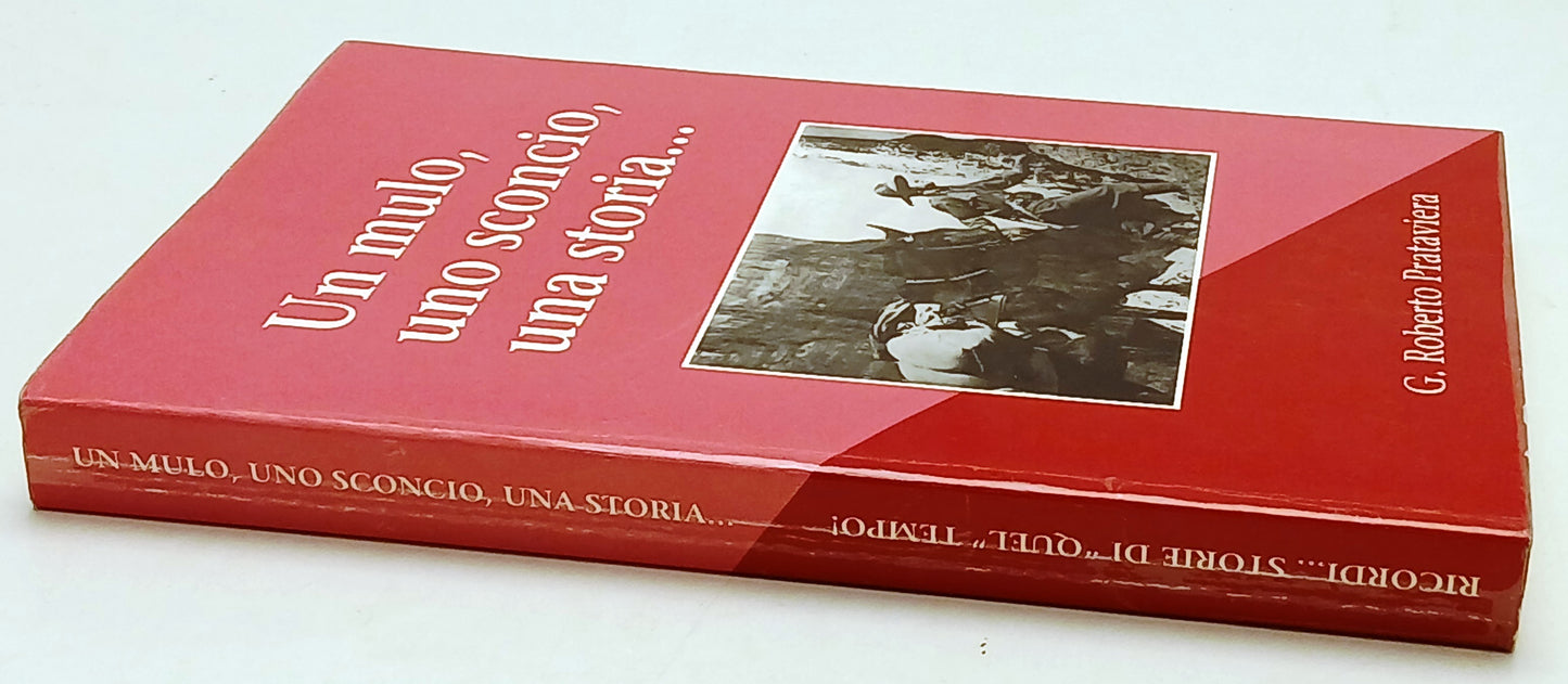 Ricordi storie di quel tempo Un mulo uno sconcio una storia - Prataviera- ZFS243
