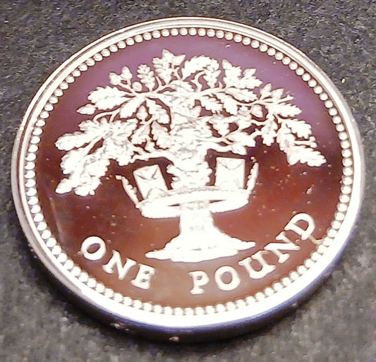 CB- Medaglia One Pound Elizabeth II con scatola - argento - GTTS182