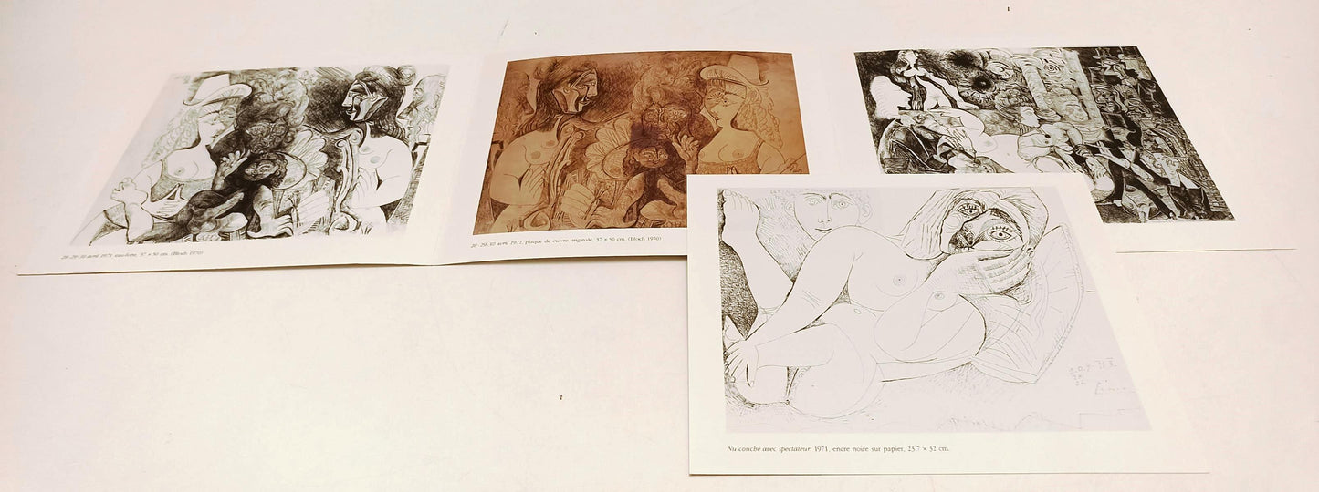 LT- PIEGHEVOLE D'ARTE PICASSO PROPOS LIBERTINS GALERIE JAN KRUGIER - RVSa431