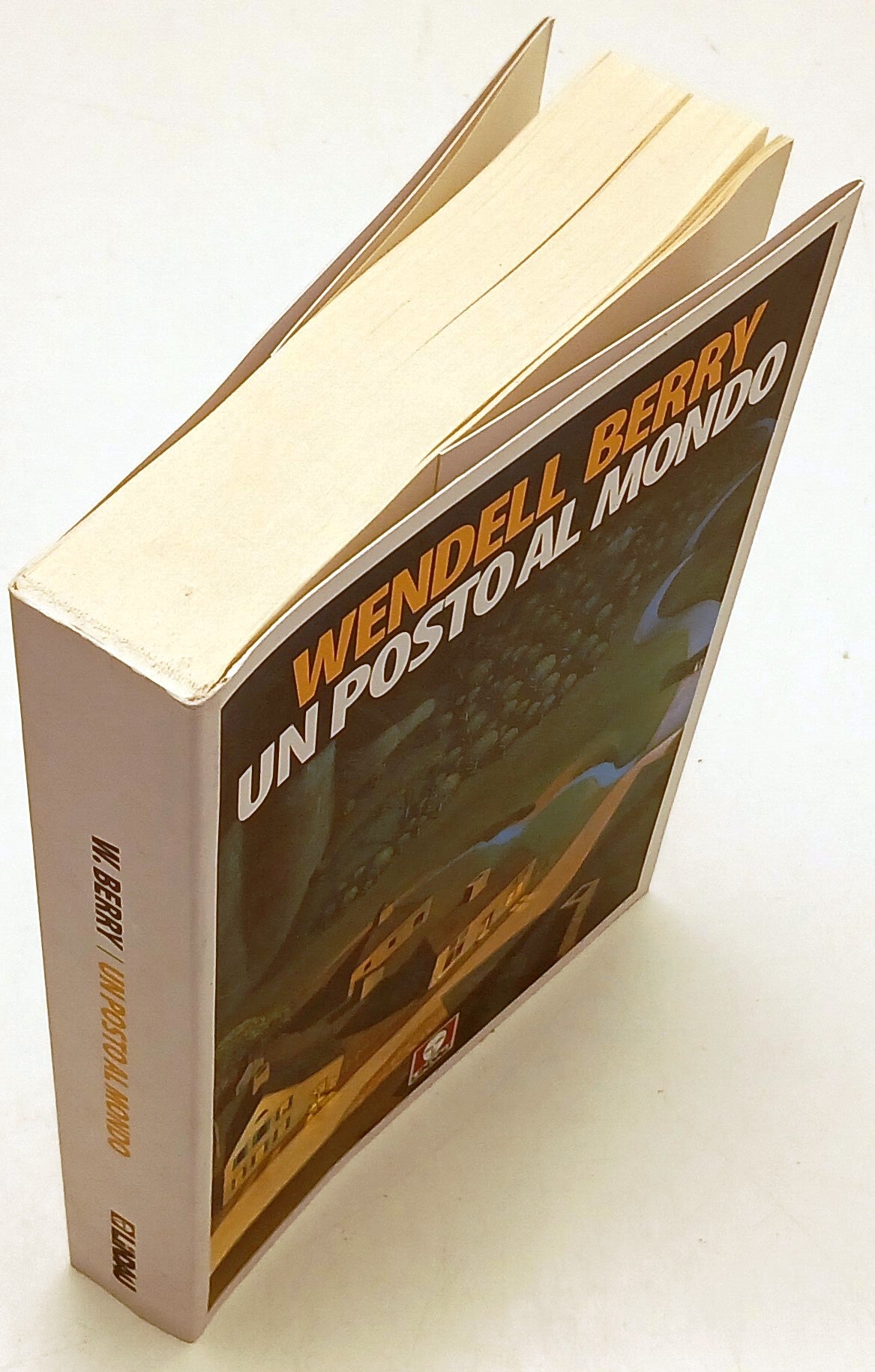 Un posto nel mondo - Wendell Berry - Lindau Senza Frontiere - 1a ed. - XFS179