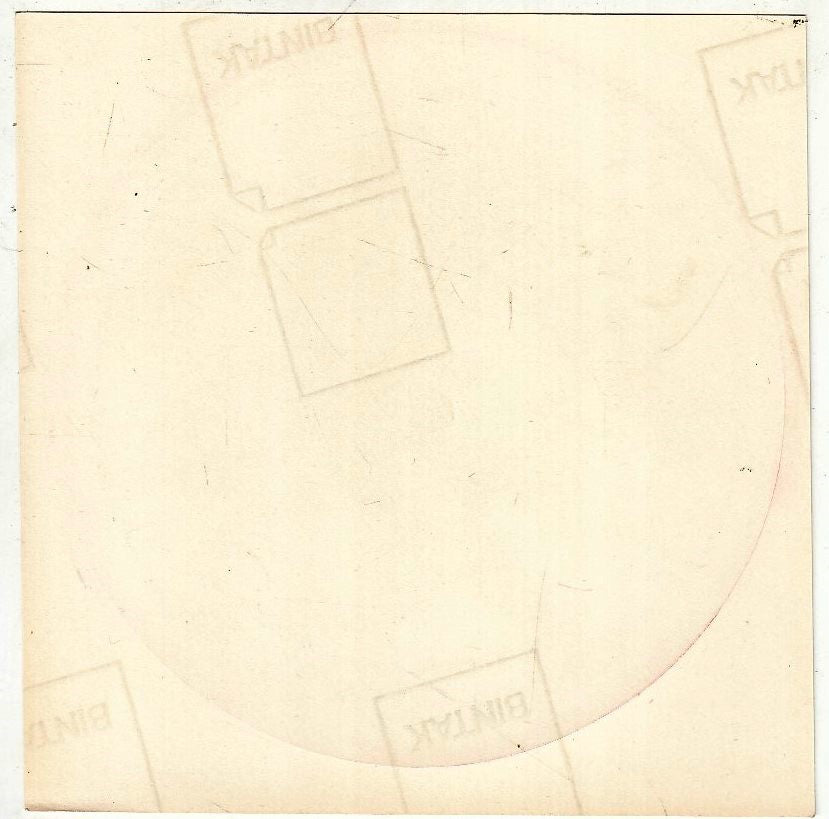 CV- ADESIVO IL FANTASTICO UOMO RAGNO - CAMPO DEL RE - RVSz104