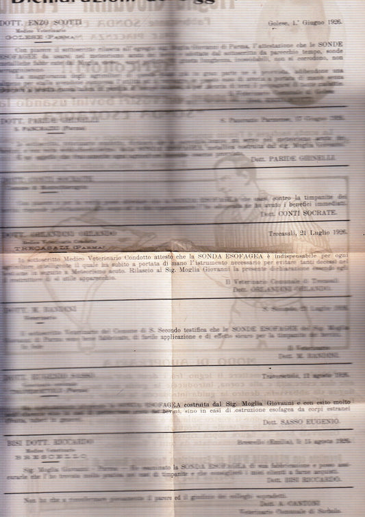 CV- MANIFESTO - MOGLIA GIOVANNI PARMA - FABBRICANTE SONDA ESOFAGEA - RVSz91