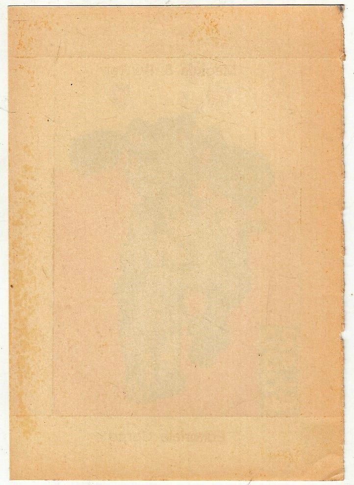 CV- ADESIVO ALAN FORD allegato al N.24 - CORNO - RVSz99