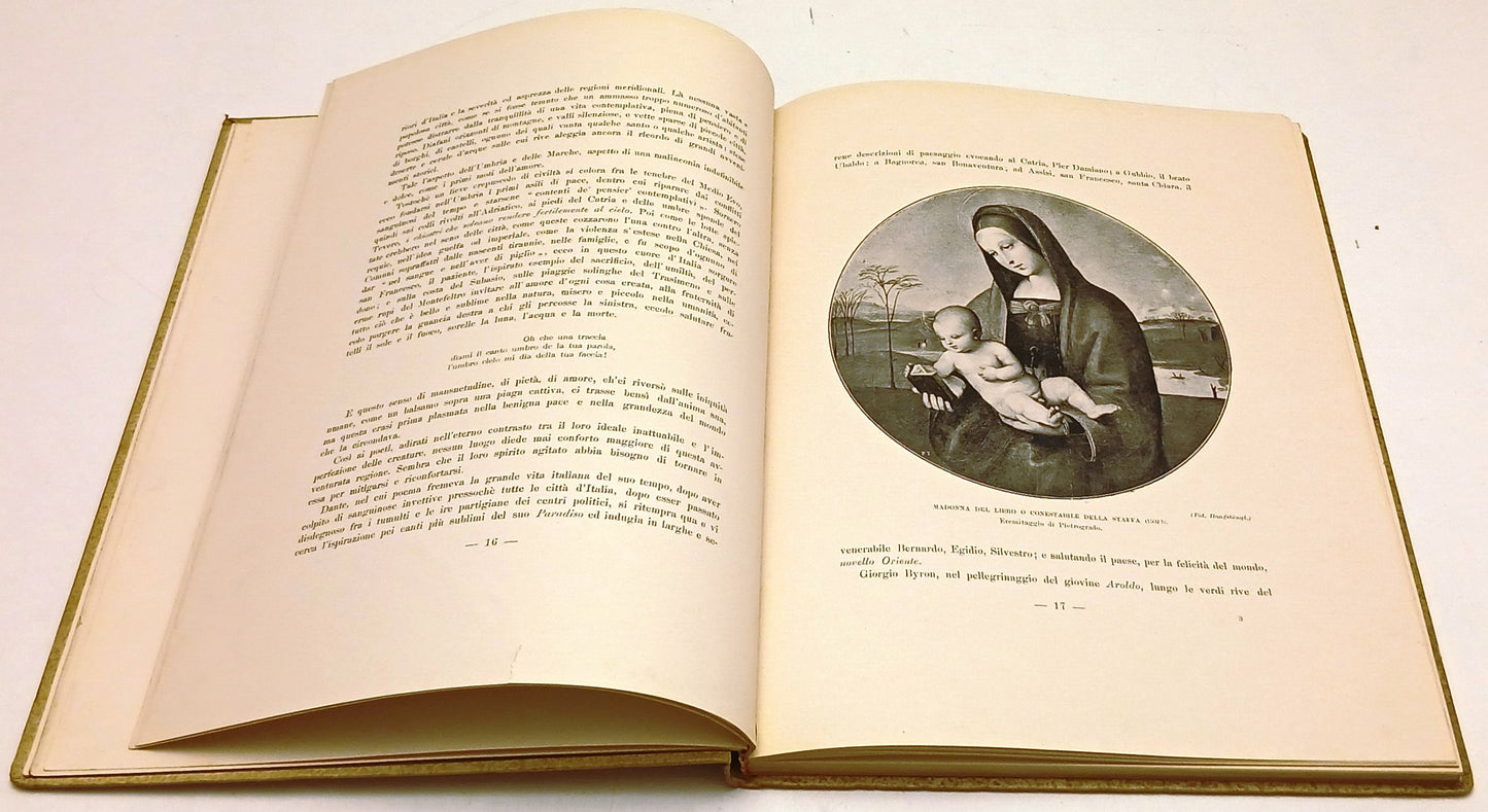 Raffaello - Corrado Ricci - Fratelli Treves - 1920 - con illustrazioni - YFS531