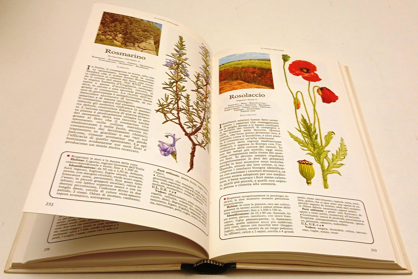 Segreti e virtu' dell piante medicinali- Selezione Reader's Digest- 1981- ZFS206
