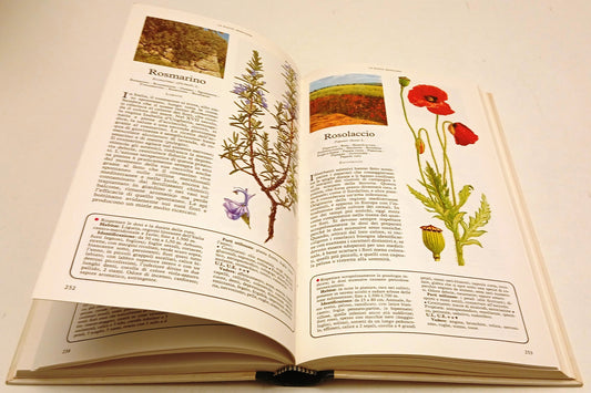 Segreti e virtu' dell piante medicinali- Selezione Reader's Digest- 1981- ZFS206