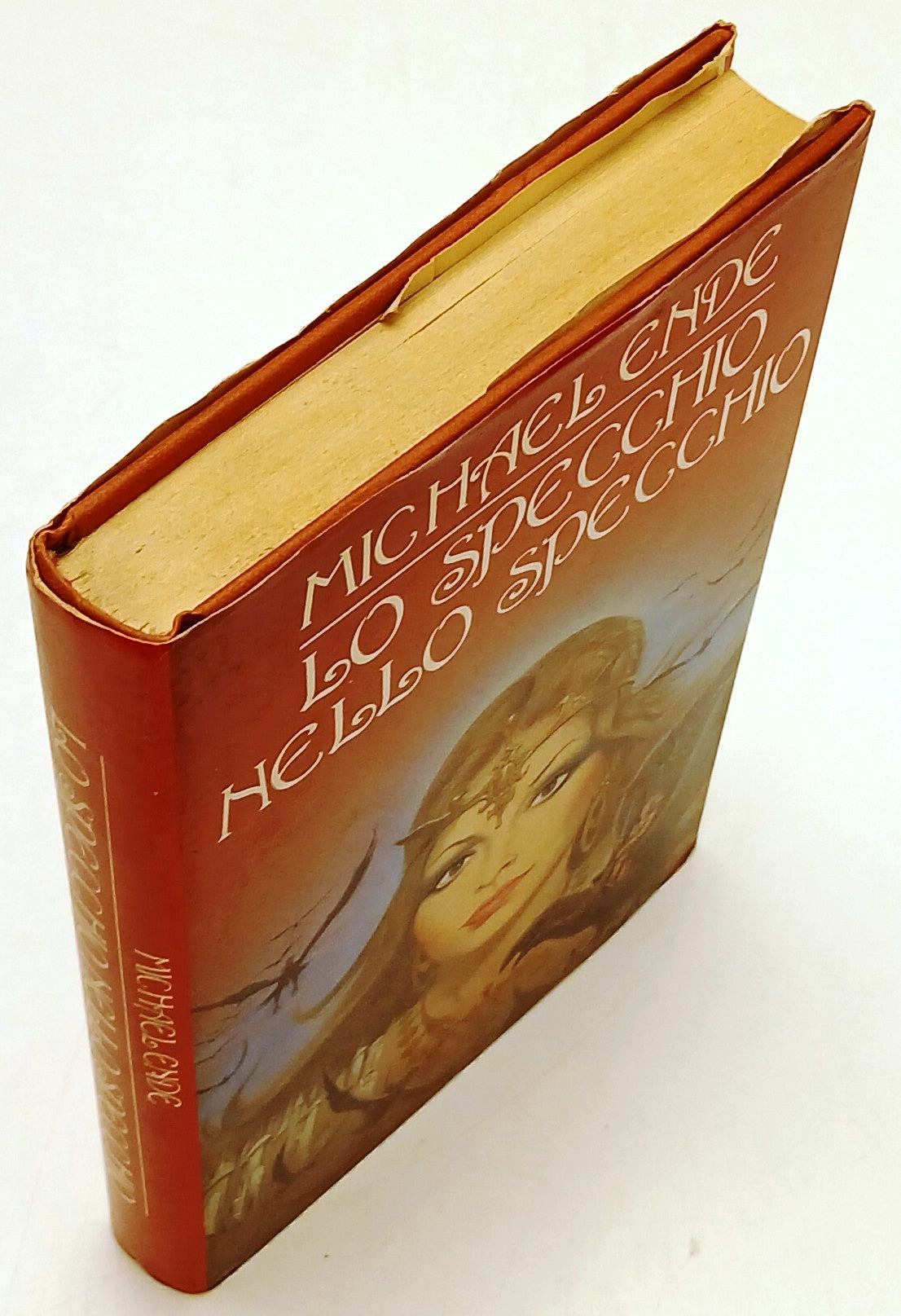 Lo specchio nello specchio - Michael Ende - CDE - ZFS216