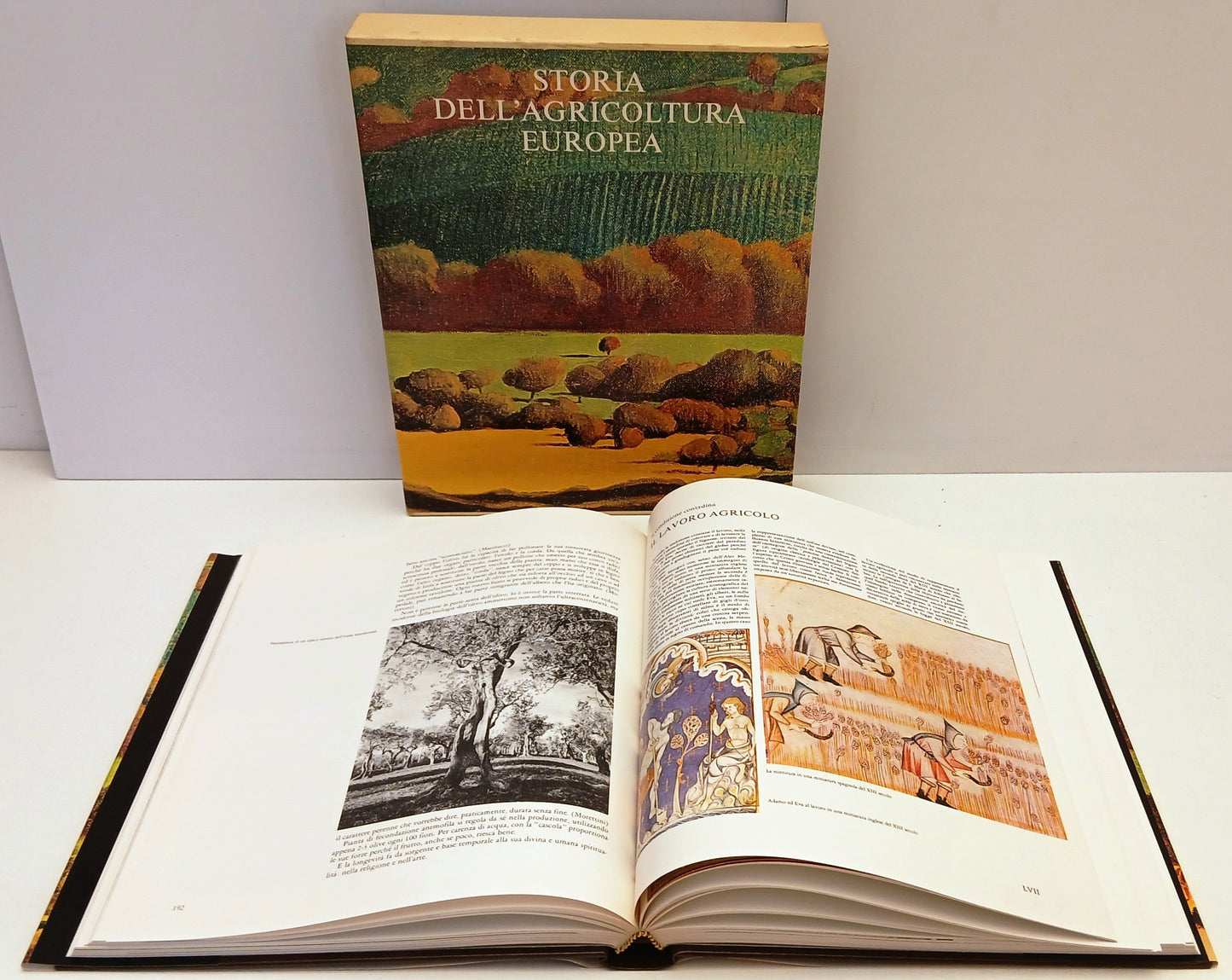 Storia dell'agricoltura europea - Etas Banca Nazionale dell'Agricoltura - YFS830
