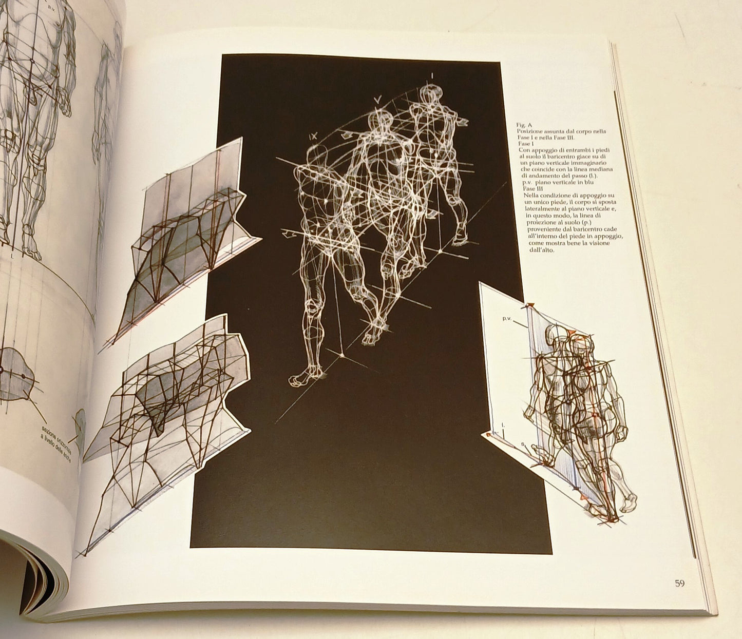 Struttura Uomo Manuale di anatomia artistica volumi 1/2 - Neri Pozza - YFS111