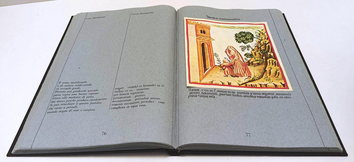 Theatrum Sanitatis Liber Magistri vol.2 - FMR Franco Maria Ricci Segni dell'uomo- XFS