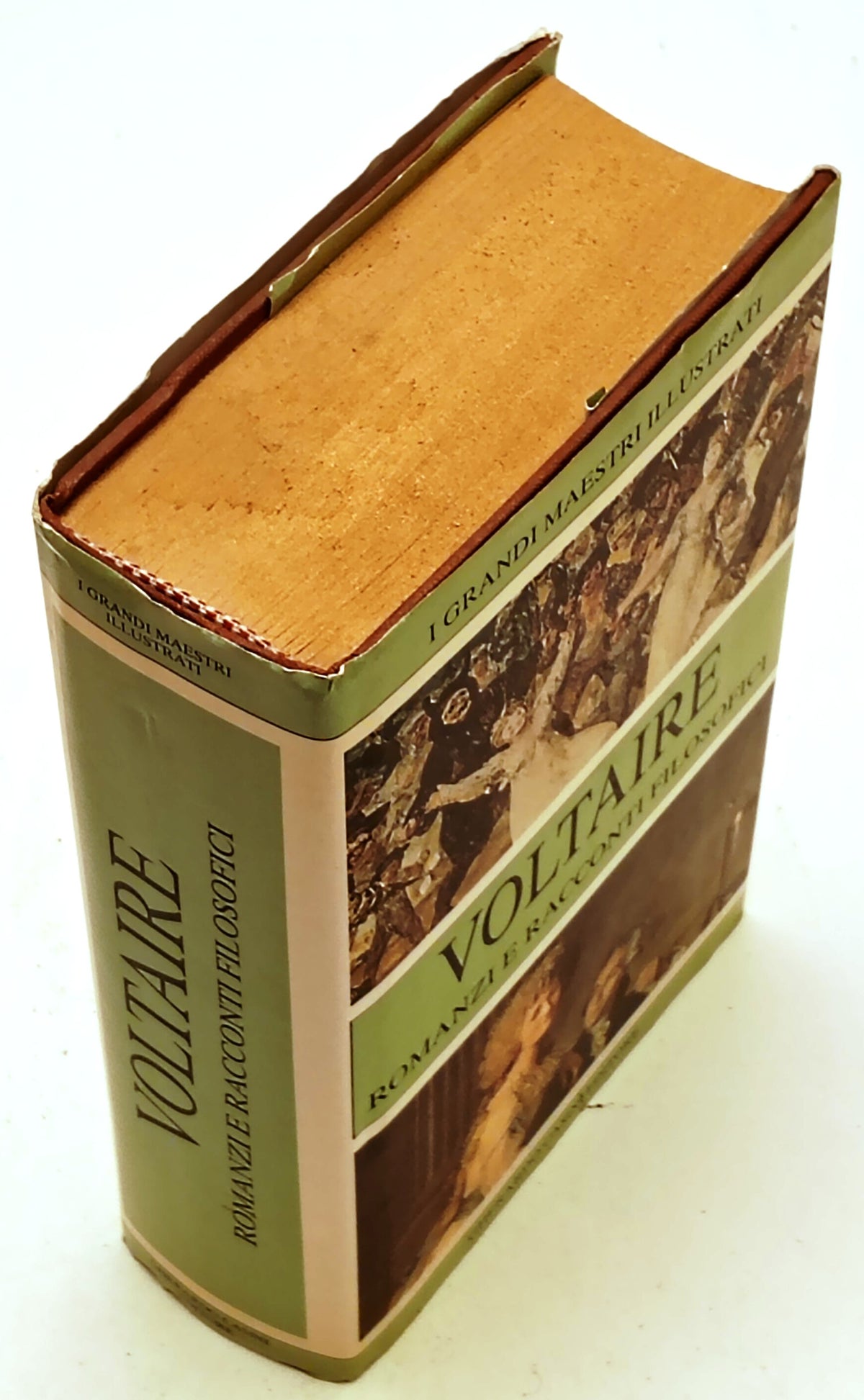 Romanzi e racconti filosofici- Voltaire- Casini Grandi Maestri Illustrati-YFS272